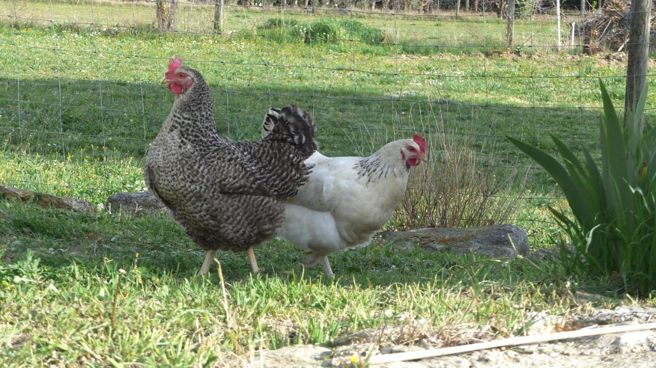 La Petite Galejade Βίλα Gordes Εξωτερικό φωτογραφία