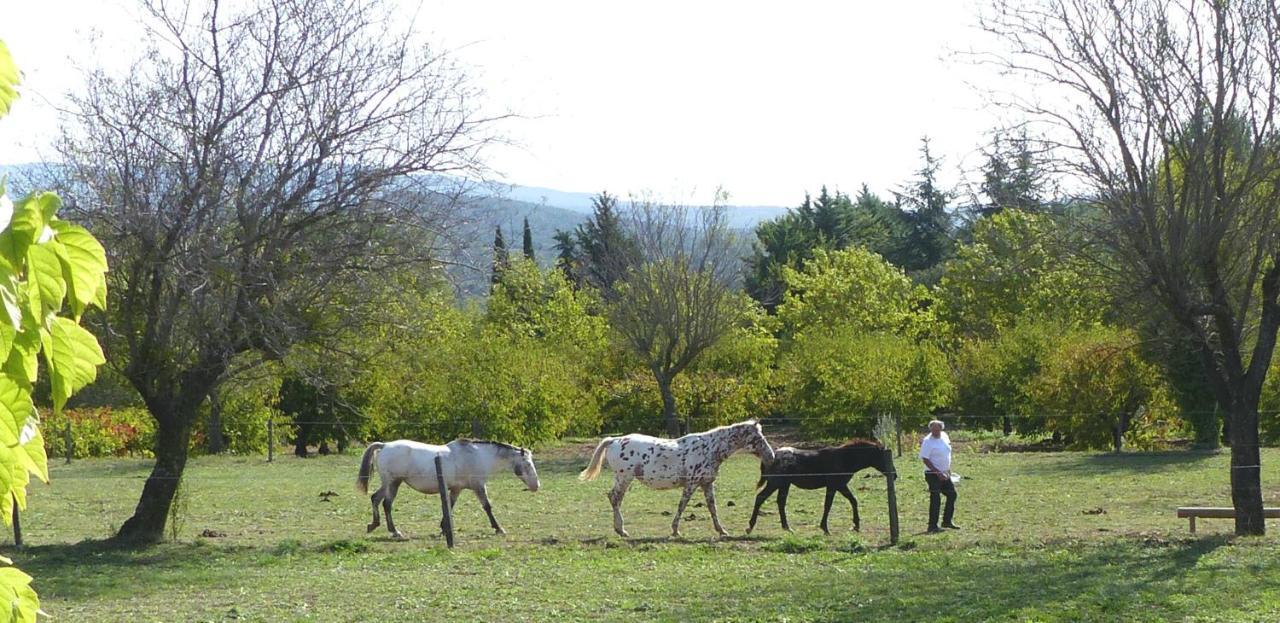 La Petite Galejade Βίλα Gordes Εξωτερικό φωτογραφία