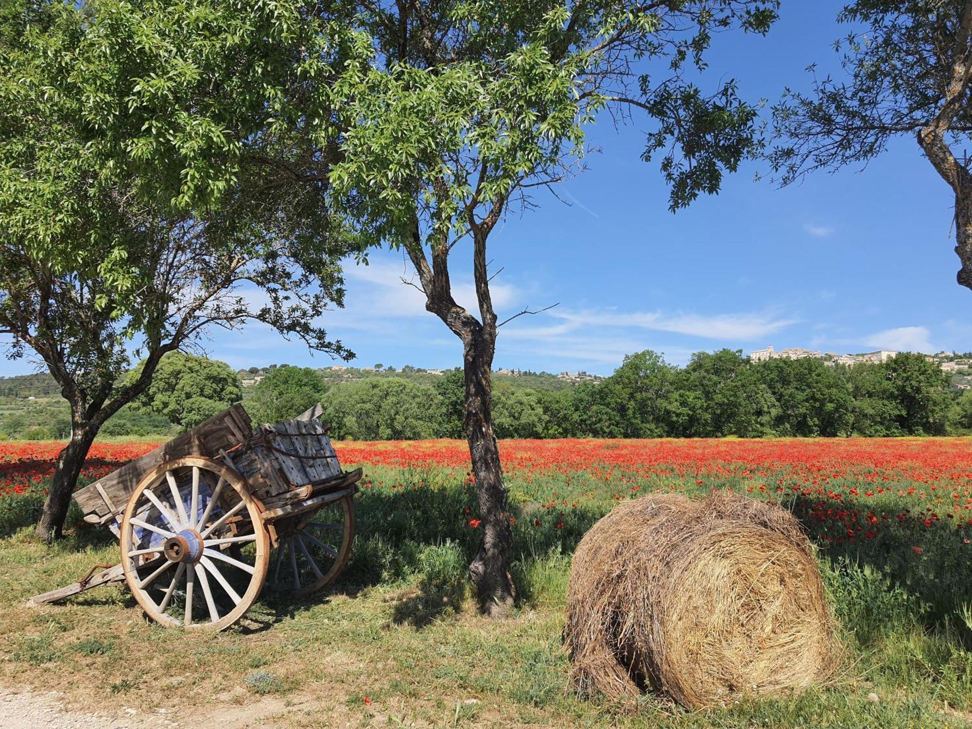 La Petite Galejade Βίλα Gordes Εξωτερικό φωτογραφία